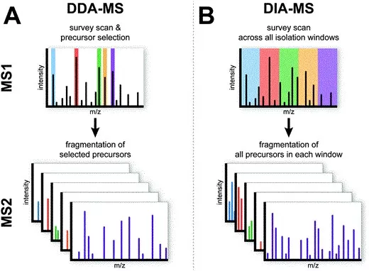 Comparison of Data-Dependent and Data-Independent Acquisition Strategies in Discovery Proteomics. Comparison of Data-Dependent and Data-Independent Acquisition Strategies in Discovery Proteomics.